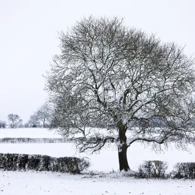 Hotels near Foxholes Farm Shop & Butchery