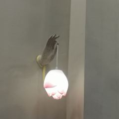 清真·敦来顺·手抓羊肉 User Photo