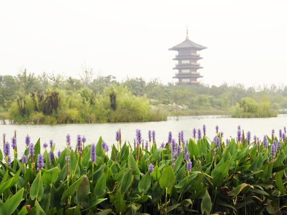 白浪河湿地公園