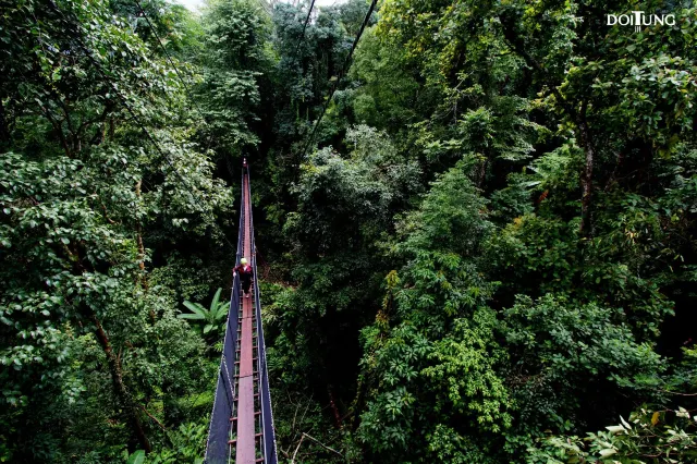 รวมที่เที่ยวช่วงปีใหม่ 2568 สุดเสียว (ไส้) ทั่วไทย