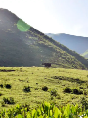 Qianba Grassland