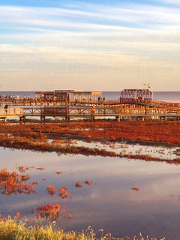 Fun Bridge, Liaohe Zumei Wetland