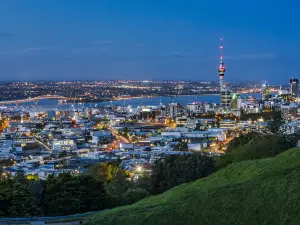 Popular Night Attractions in Auckland