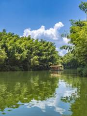 Southern Sichuan Bamboo Sea Drifting