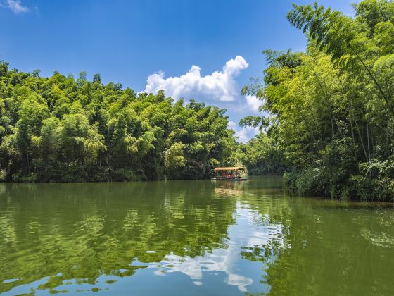 Southern Sichuan Bamboo Sea Drifting