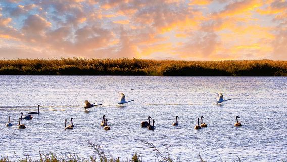 Wuliangsuhai Sea Scenic Area