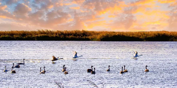 Popular Best Things to Do in Bayannur