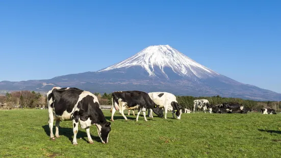 ふじさん牧場