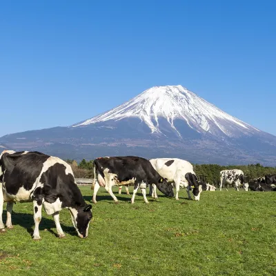 ラザウォーク甲斐双葉周辺のホテル