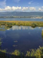 Lac de Neuchâtel