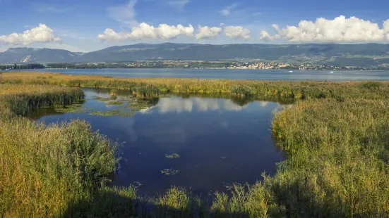 Lake Neuchâtel