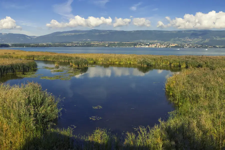 Lac de Neuchâtel