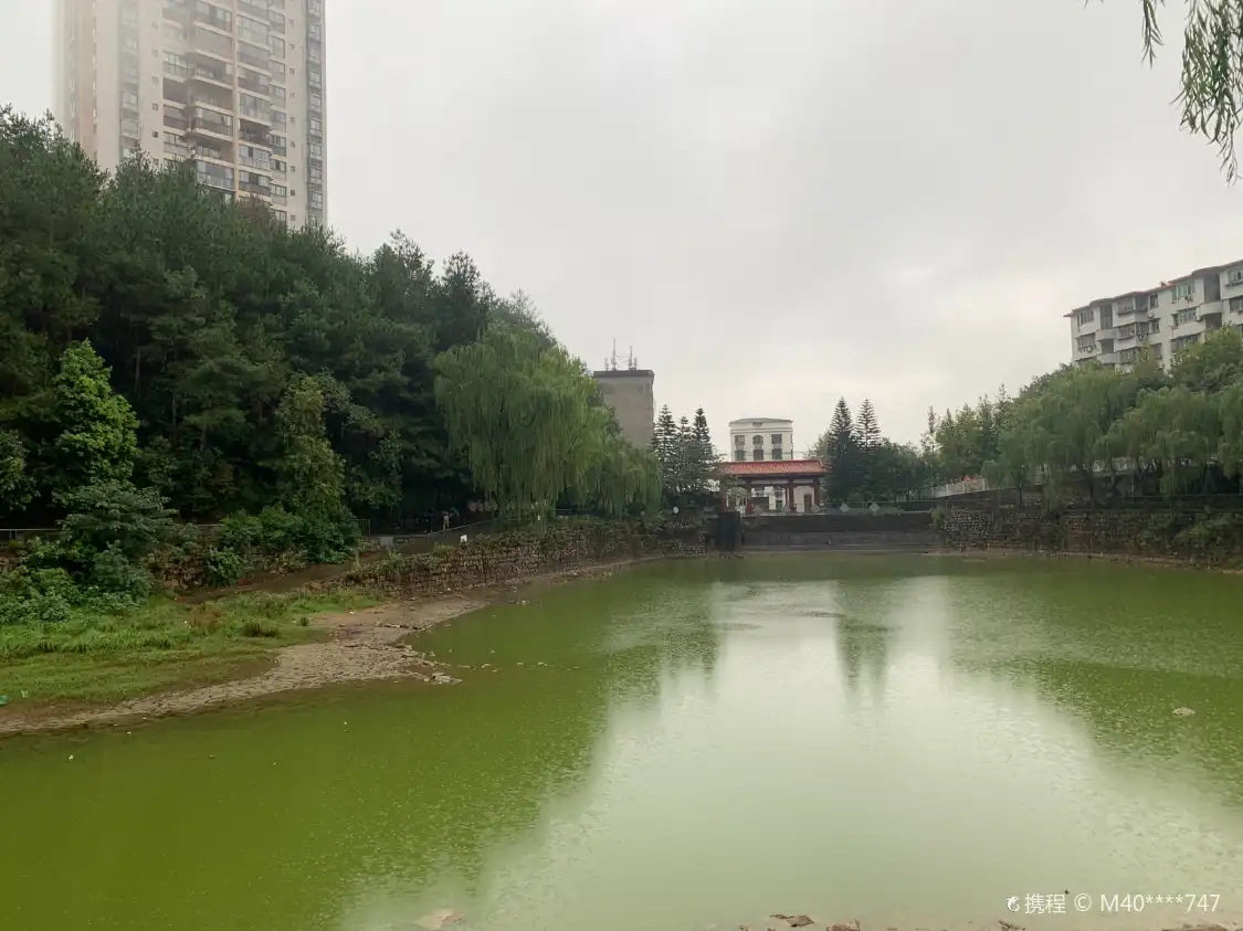 八一六公園附近的飯店