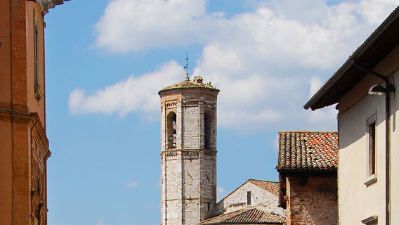 Chiesa di San Francesco