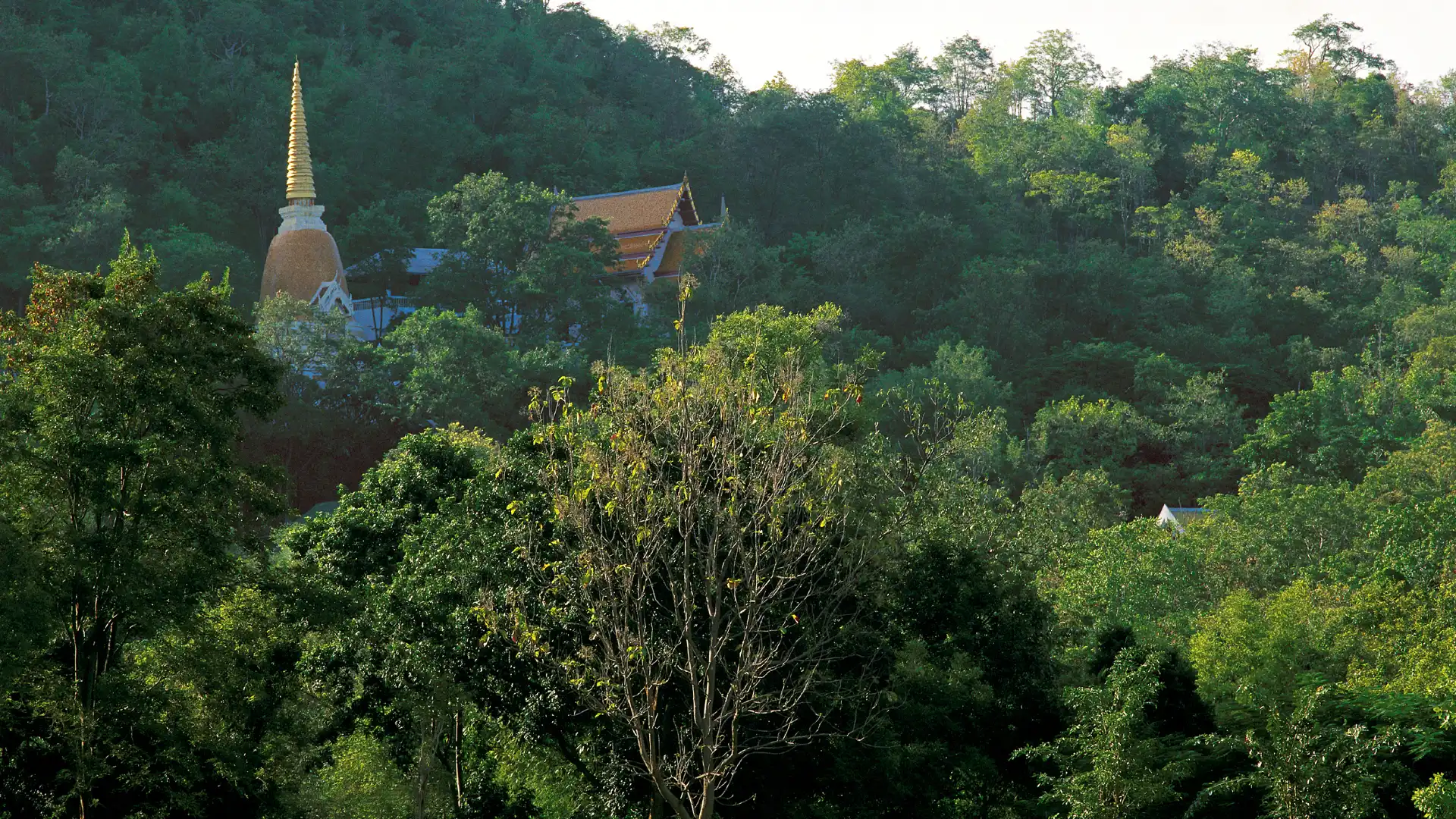 Hotels near Royal Hua Hin Golf Course