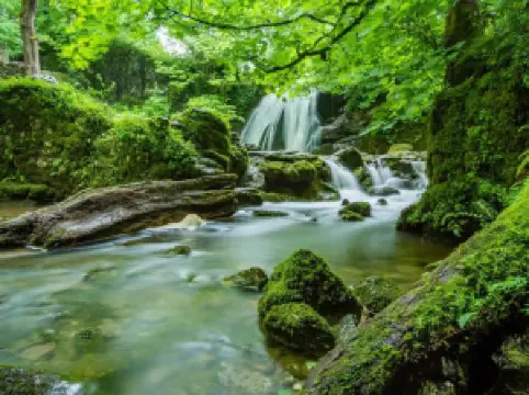 พื้นที่ท่องเที่ยววัฒนธรรมป่าฝนเขตร้อน Baihualing ไหหนาน