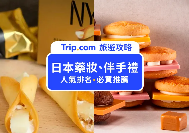 【日本必買】2025 最夯的日本藥妝、零食推薦，讓你滿載而歸！