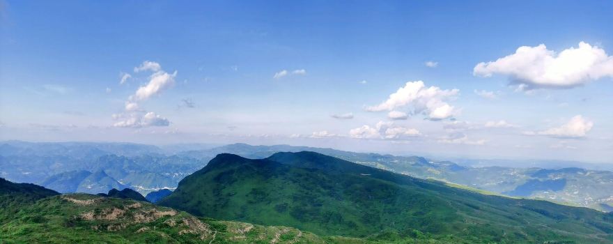 정안