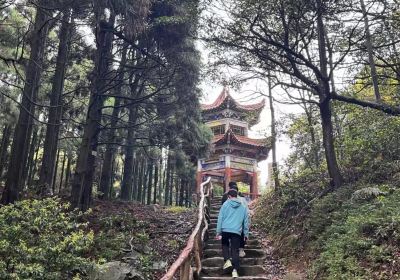 平天山國家森林公園