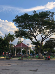 Parque Mario Cañas Ruiz