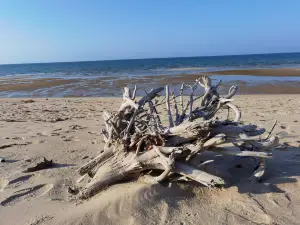 海南棋子灣濱海度假區