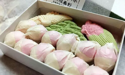 Iwanaga Baijuken