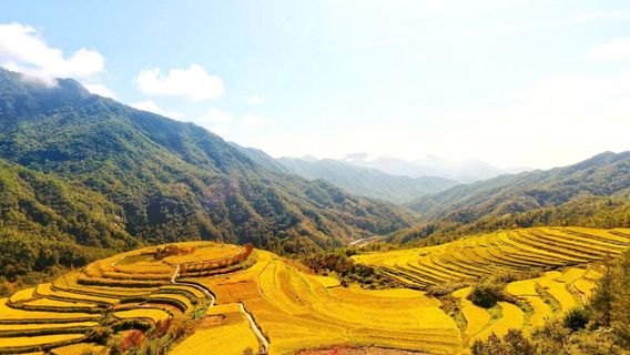 huang zhuang tai ji gu ti tian