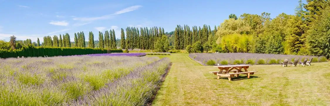 매튜스 비치 공원 주변 호텔