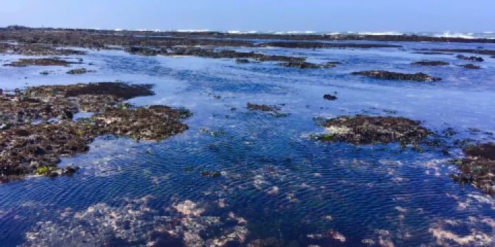 菲茨傑拉德海洋保護區