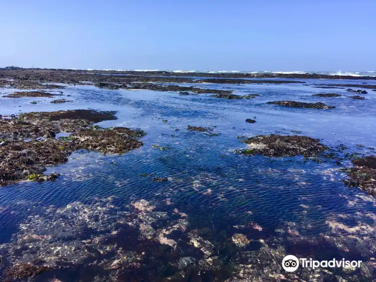 Các khách sạn ở Moss Beach