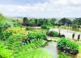 Maleny Botanic Gardens & Bird World