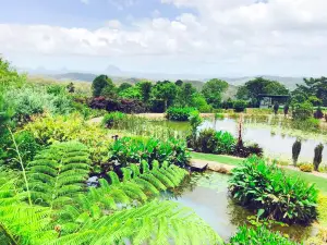 Maleny Botanic Gardens & Bird World