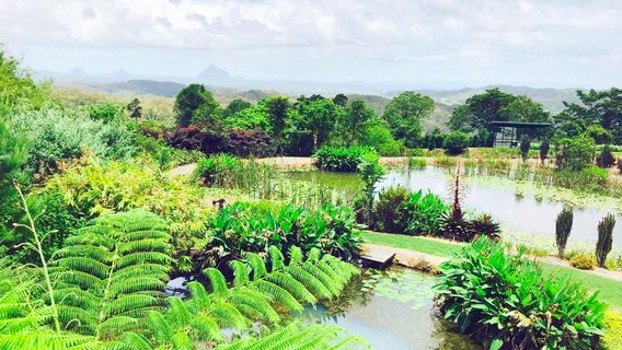 Maleny Botanic Gardens & Bird World