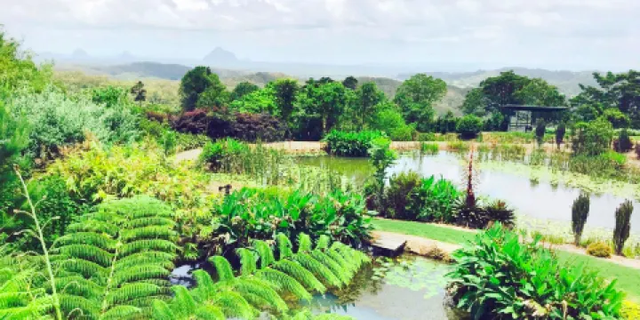 Maleny Botanic Gardens