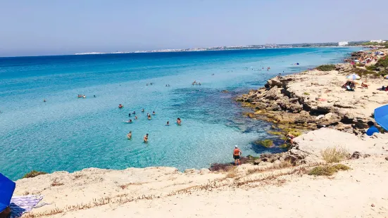 Parco Naturale regionale Isola di S.Andrea e litorale di Punta Pizzo