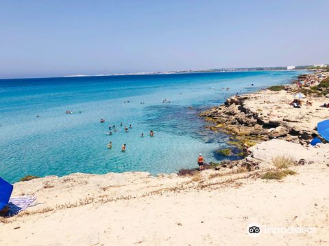 Parco Naturale regionale Isola di S.Andrea e litorale di Punta Pizzo