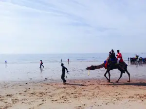 Mandvi Beach