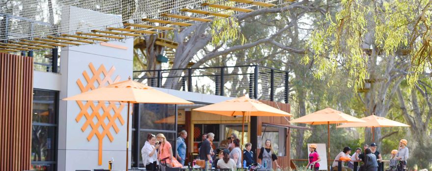 TreeClimb Adelaide
