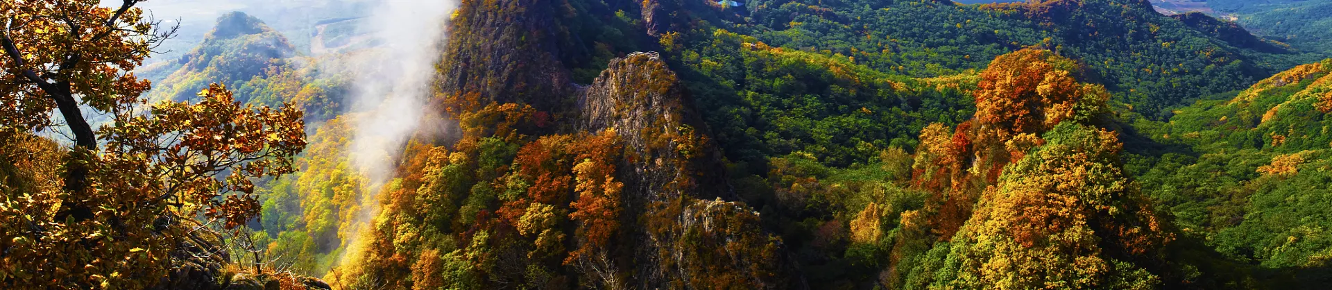 Fall Viewing Attractions