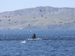 Dallas To Los Angeles Flight Time