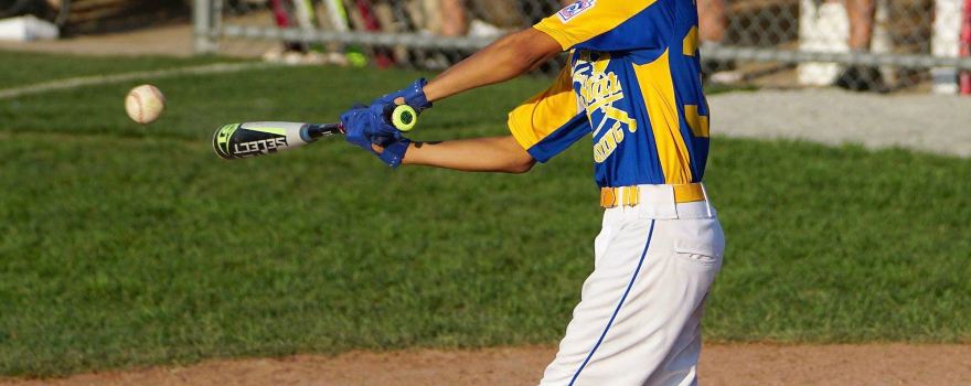Camden-Wyoming Little League