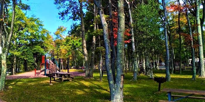 Wilsonville Recreation Area