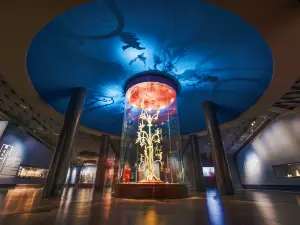 Sanxingdui Museum