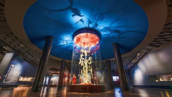 Sanxingdui Museum