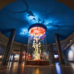 Sanxingdui Museum