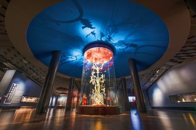 Sanxingdui Museum