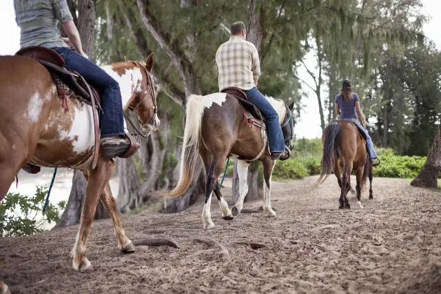 Horse Riding in Hawaii