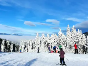 Ski resort Premyslov