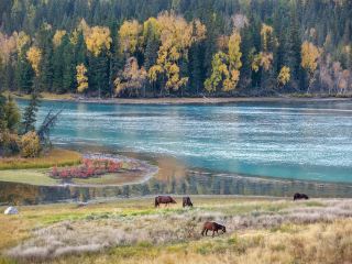 乌鲁木齐到布尔津飛行時間