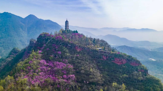 Top 10 Spring Outings in Taizhou